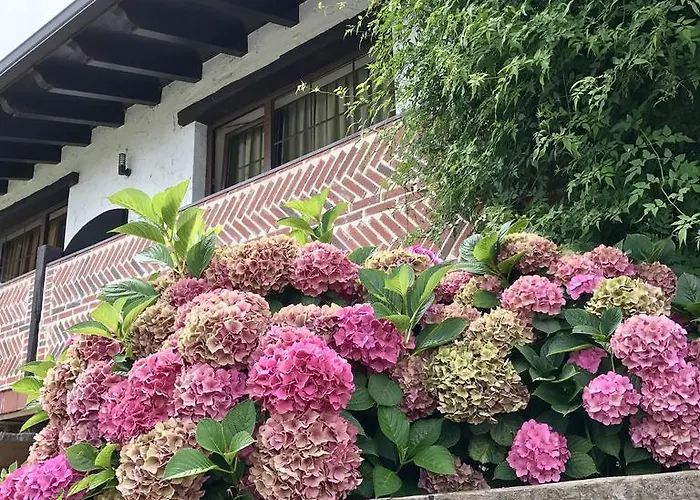 El Abuelo De La Cachava Gajano