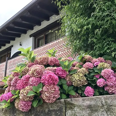 El Abuelo De La Cachava Gajano